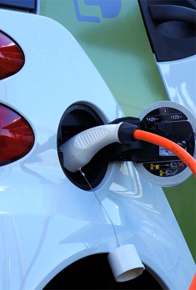 尊龙集团 (中国区)官方网站