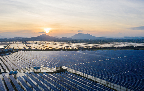 尊龙集团 (中国区)官方网站